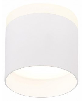 Потолочный светильник ST102.542.09