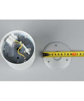 Потолочный светильник Pantaleo OML-101009-01