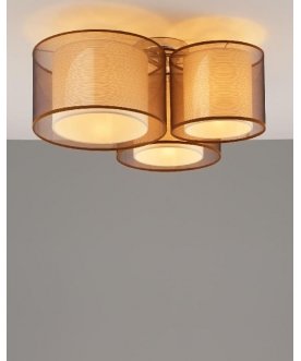 Потолочный светильник V10623-3C