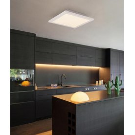 Потолочный светильник Rosi 41604D2D