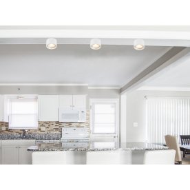 Потолочный светильник Serena 12007W