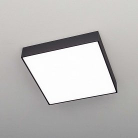 Потолочный светильник Тао CL712K242