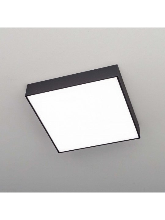 Потолочный светильник Тао CL712K242