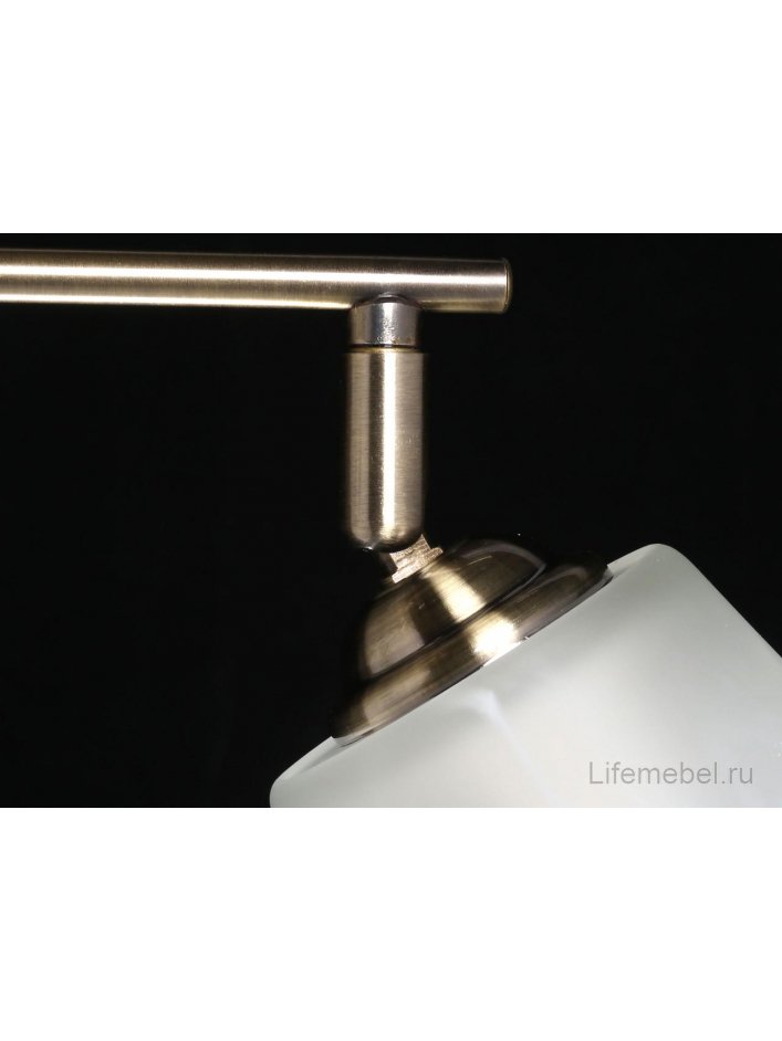 Потолочный светильник Тетро 673015402