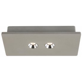 Потолочный светильник Timo 55011-2