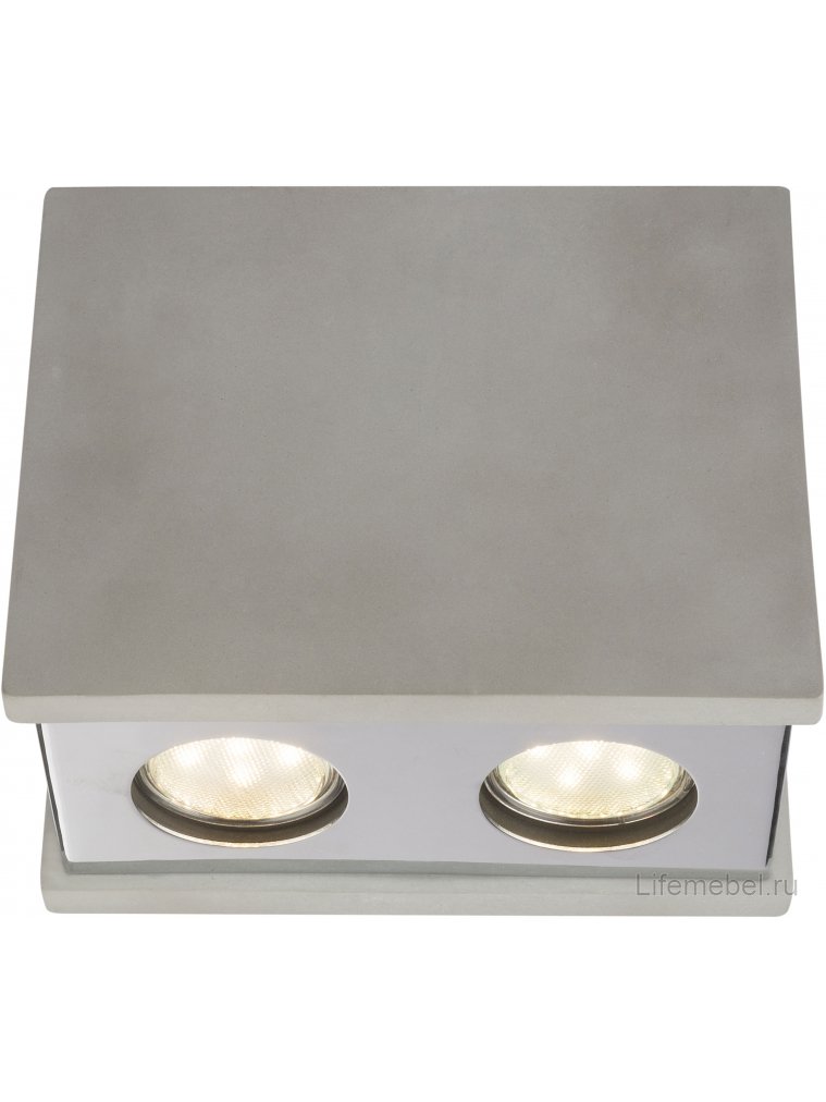 Потолочный светильник Timo 55011-2D