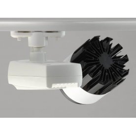 Потолочный светильник 550010901