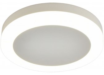 Потолочный светильник OML-102109-06