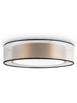 Потолочный светильник Zoticus FR6005CL-L36G