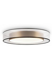Потолочный светильник Zoticus FR6005CL-L48G