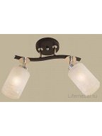 Потолочный светильник Фортуна CL156121