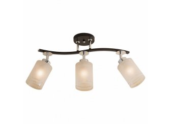 Спот Фортуна CL156131