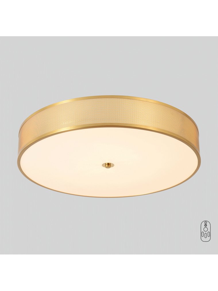 Светильник потолочный BUTTON PL40W LED