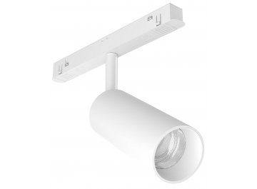 Трековый светильник TR032-2-12W4K-S-W