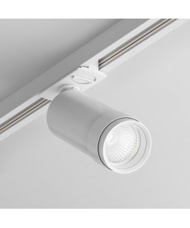 Трековый светильник TR021-1-12B4K-Z-D-W