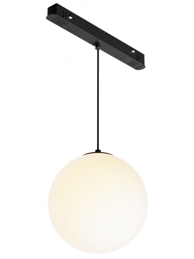 Трековый светильник Luna TR039-2-5W3K