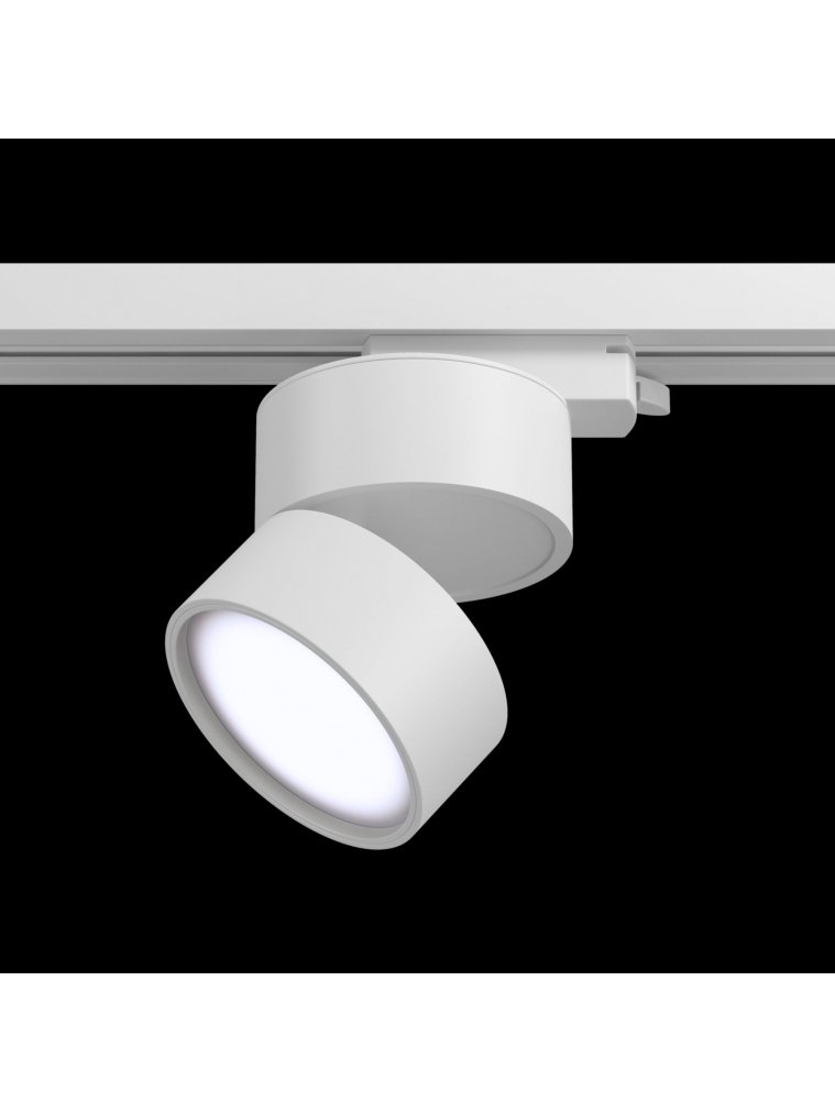 Трековый светильник Track lamps TR007-1-12W4K-W
