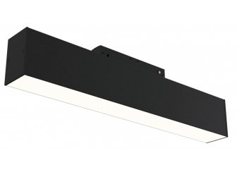 Трековый светильник lamps TR012-2-12W4K-B