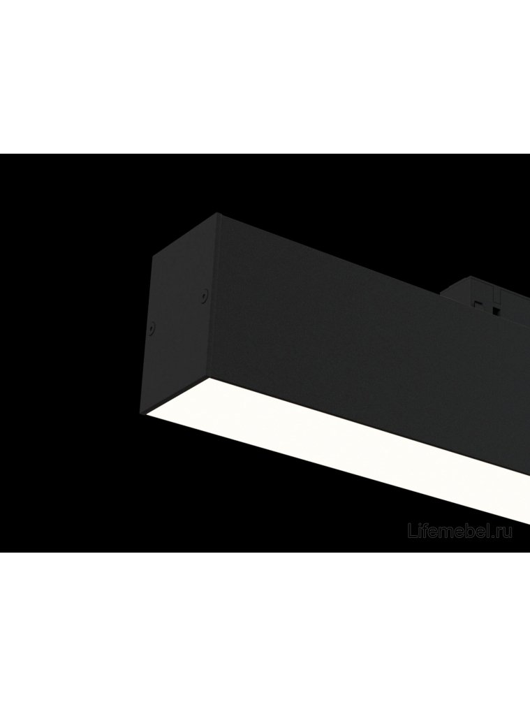 Трековый светильник Track lamps TR012-2-12W4K-B