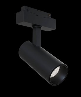 Трековый светильник lamps TR019-2-15W4K-B