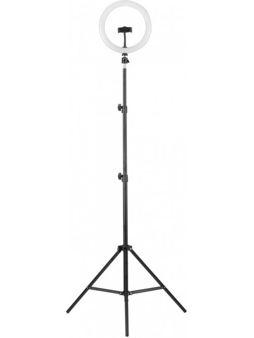Торшер KD-810F C02