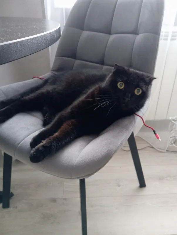 Комплект стульев крутящихся Форт 2 шт розовый (hl 41) / 1П белый каркас фото покупателя 64