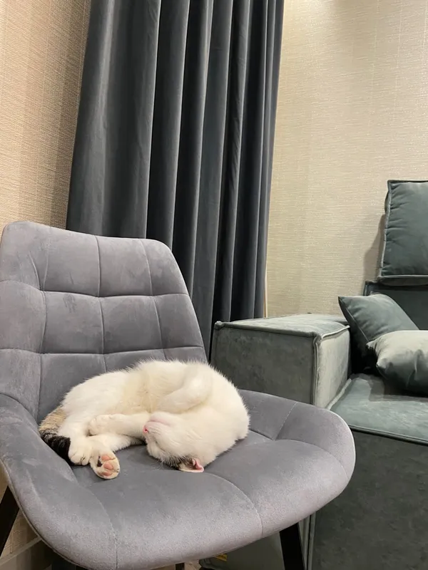 Комплект стульев крутящихся Форт 2 шт розовый (hl 41) / 1П белый каркас фото покупателя 73