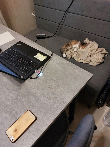 Деревянный стол Лота Лофт 120x75 дуб крафт табачный / черный матовый фото покупателя 751