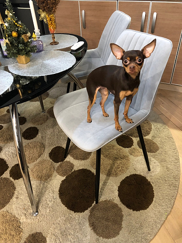 Комплект стульев Седа К 4 шт латте / черный фото покупателя 202