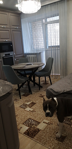 Стул Kora light purple фото покупателя 87