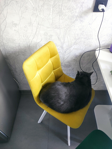 Комплект стульев Чилли 2 шт бежевый / черный фото покупателя 1360