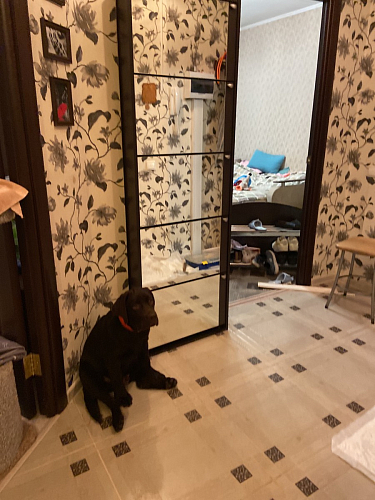 Обувница К-5 (зеркальная) венге / беленый дуб фото покупателя 4