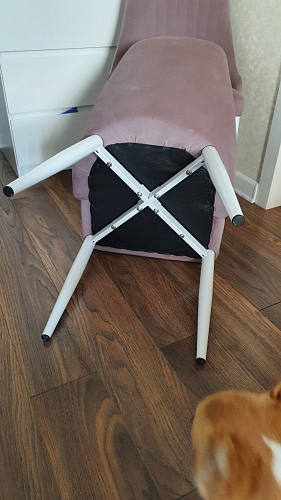 Стул Kora light purple фото покупателя 123