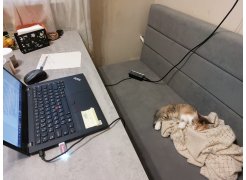 Стол Лота Лофт 120 25 мм сабия / черный матовый фото покупателя 752