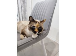 Стул на металлокаркасе Вейв темно-серый / черный фото покупателя 128