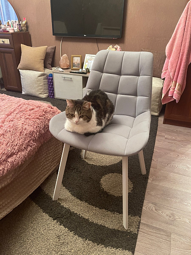 Комплект стульев Стронг 4 шт темно-серый / черный фото покупателя 11