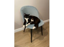 Стул на металлокаркасе Gabi 1 gray / black фото покупателя 325