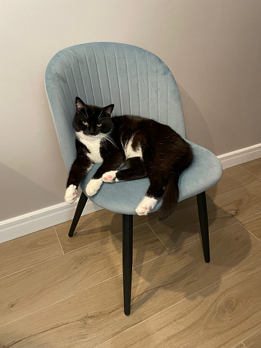 Стул на металлокаркасе Gabi 1 light purple / black фото покупателя 325