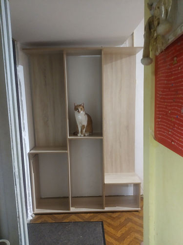 Готовая прихожая Пети дуб сонома / белый фото покупателя 66