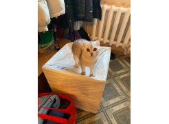 Стул на металлокаркасе Gabi 1 gray / black фото покупателя 757