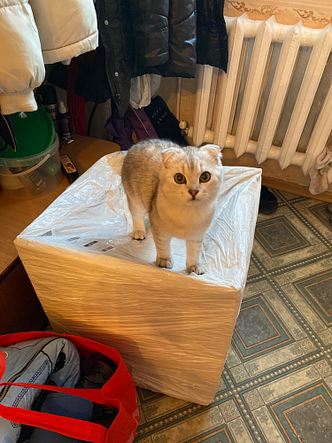 Стул на металлокаркасе Gabi 1 light purple / black фото покупателя 757