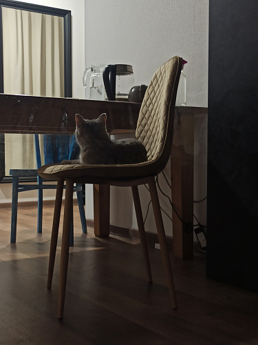 Стул на металлокаркасе Capri голубой фото покупателя 24