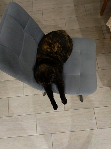 Комплект стульев Чилли 4 шт темно-серый / черный фото покупателя 528