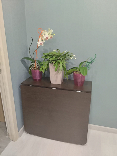 Стол-книжка СтК7 дуб сонома фото покупателя 12