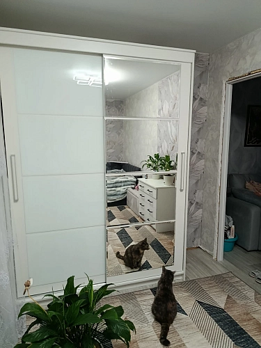 Шкаф-купе Лайн 1.6 белый текстурный фото покупателя 32