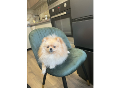 Стул на металлокаркасе Gabi 1 gray фото покупателя 3