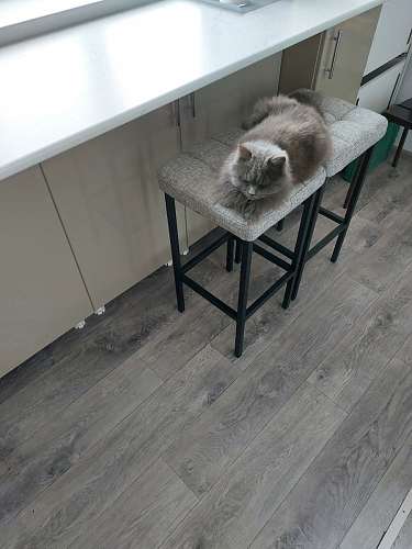 Барный стул Лофт микровелюр катания блэк / черный матовый фото покупателя 243