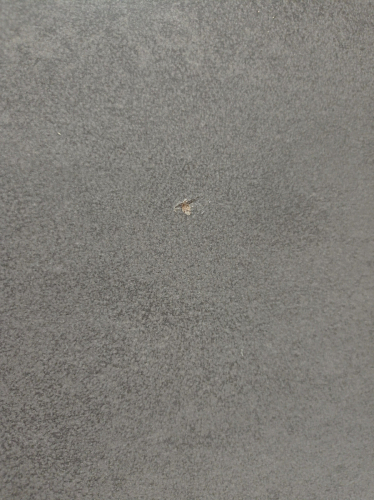 Стол Тринити Лофт 120 32 мм бетон / черный матовый фото покупателя 202