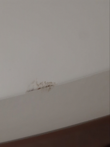 Стол Table T-06 80 фото покупателя 1