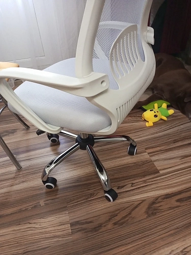 Компьютерное кресло Ergoplus light gray / white фото покупателя 31